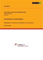 Jonas Römer - Prozesswissen im Unternehmen