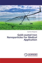 Eyachew Misganew - Gold-coated Iron Nanoparticles For Medical Application