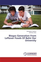 Alemayeh Gashaw, Alemayehu Gashaw, Solomon Libsu - Biogas Generation From Leftover Foods Of Bahir Dar University