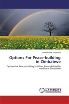 Kudakwashe Shonhiwa - Options For Peace-building in Zimbabwe