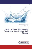 Mohamed Hamdy, Mohamed S. Hamdy, Guid Mul, Guido Mul, Wibawa Hendr Saputera, Wibawa Hendra Saputera - Photocatalytic Wastewater Treatment over Defect-Rich Titania