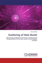 Hasan Maridi - Scattering of Halo Nuclei