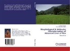 Fida Muhammad Abbasi, Shumail Qureshi, Shumaila Qureshi - Morphological & Molecular Characterization of Advanced Lines of Rice