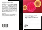 Cindy Le Loirec, Le loirec-c - Suivi de positrons dans la