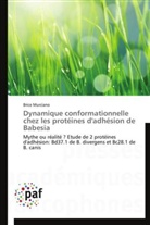 Brice Murciano, Murciano-b - Dynamique conformationnelle chez