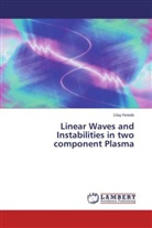 Lilay Ferede - Linear Waves and Instabilities in two component Plasma