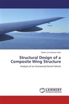 Pedro Luis Jimenez Soler - Structural Design of a Composite Wing Structure