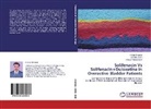 Rakesh Kumar Dixit, Prata Shankar, Pratap Shankar, Anush Vohra, Anusha Vohra - Solifenacin Vs Solifenacin+Duloxetine in Overactive Bladder Patients