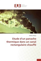 Ahlem Arfaoui, Arfaoui-a - Etude d un panache thermique dans