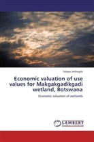 Tshepo Setlhogile - Economic valuation of use values for Makgakgadikgadi wetland, Botswana