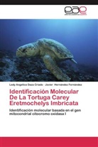 Ledy Angelica Daza Criado, Javier Hernández Fernández - Identificación Molecular De La Tortuga Carey Eretmochelys Imbricata