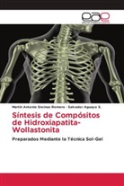 Salvador Aguayo S., Martín Antonio Encinas Romero - Síntesis de Compósitos de Hidroxiapatita-Wollastonita