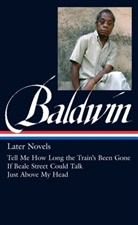 James Baldwin, James/ Pinckney Baldwin, Darryl Pinckney, Darryl Pinckney - James Baldwin: Later Novels