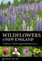Ted Elliman, Ted/ New England Wildflower Society (COR) Elliman, Native Plant Trust, New England Wild Flower Society, The New England Wildflower Society, Native Plant Trust - Wildflowers of New England