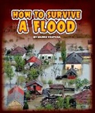 Marne Ventura - How to Survive a Flood