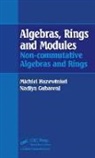 Nadiya M. Gubareni, Gubareni Nadiya M., Michiel Hazewinkel, Michiel/ Gubareni Hazewinkel - Algebras, Rings and Modules