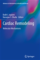 Naranjan S Dhalla, Naranjan S. Dhalla, Bod I Jugdutt, Bodh I Jugdutt, Bodh I. Jugdutt, S Dhalla... - Cardiac Remodeling