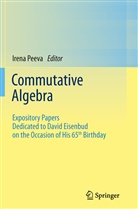 Iren Peeva, Irena Peeva - Commutative Algebra