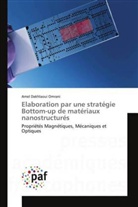 Amel Dakhlaoui Omrani, Omrani-a - Elaboration par une strategie