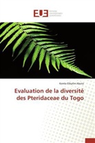 Komla Elikplim Abotsi, Abotsi-k - Evaluation de la diversite des