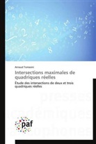 Arnaud Tomasini, Tomasini-a - Intersections maximales de