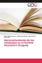 Claro, Mario Bruno Claro Páez, Odali Sosa Ramírez, Odalis Sosa Ramírez, Wilm Villamil Lorenzo, Wilma Villamil Lorenzo - Aprovechamiento de los residuales en el Central Azucarero Uruguay