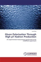 Luís Silva - Gluon Polarisation Through High pT Hadron Production