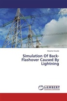 Ossama Gouda - Simulation Of Back-Flashover Caused By Lightning