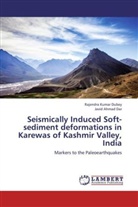 Javid Ahmad Dar, Rajendra Kuma Dubey, Rajendra Kumar Dubey - Seismically Induced Soft-sediment deformations in Karewas of Kashmir Valley, India