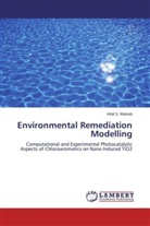 Hilal S Wahab, Hilal S. Wahab - Environmental Remediation Modelling