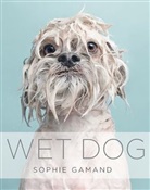 Sophie Gamand - Wet Dog