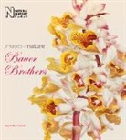 Paul Martin Cooper, Paul Martyn Cooper - Bauer Brothers