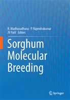 R. Madhusudhana, J. V. Patil, J.V. Patil, JV Patil, Rajendrakumar, P Rajendrakumar... - Sorghum Molecular Breeding