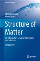 Pietro Carretta, Attili Rigamonti, Attilio Rigamonti - Structure of Matter
