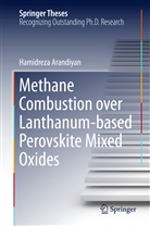 Hamid Arandiyan, Hamidreza Arandiyan - Methane Combustion over Lanthanum-based Perovskite Mixed Oxides