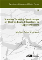 Michael Peter Schackert - Scanning Tunneling Spectroscopy on Electron-Boson Interactions in Superconductors