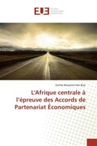 Zachée Benjamin Hen Biyo, Hen biyo-z - L afrique centrale a l epreuve