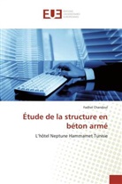 Fadhel Chandoul, Chandoul-f - Etude de la structure en beton arme
