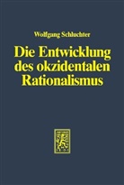 Wolfgang Schluchter - Die Entwicklung des okzidentalen Rationalismus / Die Entwicklung des okzidentalen Rationalismus