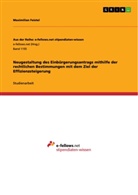 Maximilian Feistel - Neugestaltung des Einbürgerungsantrags  mithilfe der rechtlichen Bestimmungen mit dem Ziel der Effizienzsteigerung