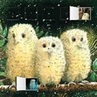 Unknown, Flame Tree Studio - Owl Babies Advent Calendar
