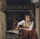 Franz Schubert - Complete Music Violin and Piano, 2 Audio-CDs (Hörbuch)
