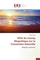 Hanen Jamai, Jamai-h - Effet du champ magnetique sur la