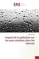 Malek Harrabi, Harrabi-m - Impact de la pollution sur les