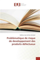 Haidhuru Jean de Dieu Muhodari, Muhodari-h - Problematique de risque de