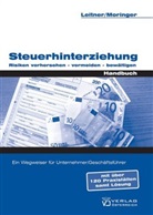 Roman Leitner, Wolfgang Moringer - Steuerhinterziehung