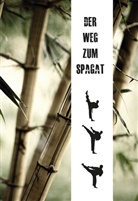 Artjom Maier, Artjom Mayer - Der Weg zum Spagat