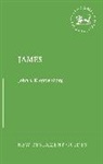 John S Kloppenborg, John S (University of Toronto Kloppenborg, John S. Kloppenborg, Professor John S. (University of Toro Kloppenborg, Professor John S. (University of Toronto Kloppenborg, KLOPPENBORG JOHN S... - James (New Testament Guides)
