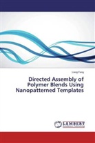 Liang Fang - Directed Assembly of Polymer Blends Using Nanopatterned Templates