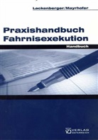 Michael Lackenberger, Gerhard Mayrhofer - Praxishandbuch Fahrnisexekution